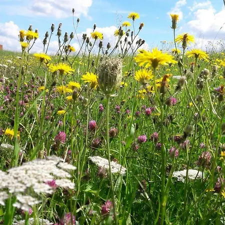 Gemuetliches Haeuschen Im Alten Land *