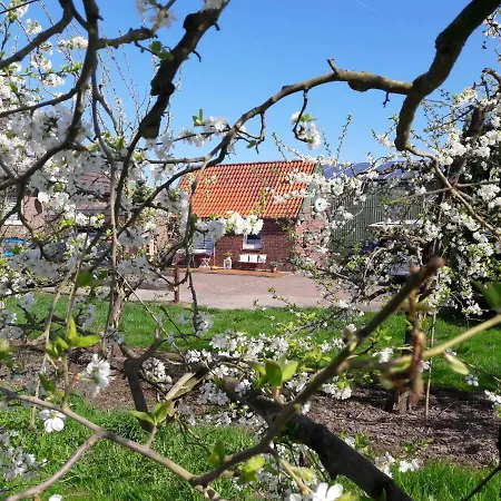 Gemütliches Häuschen Im Alten Land * Jork