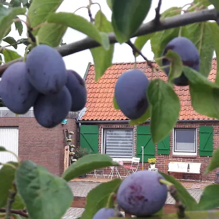 بيت للعطل Gemuetliches Haeuschen Im Alten Land *