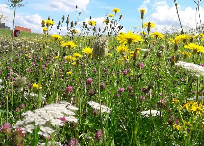 Gemütliches Häuschen Im Alten Land *