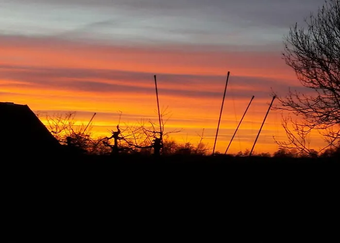 Сasa de vacaciones Gemütliches Häuschen Im Alten Land Jork