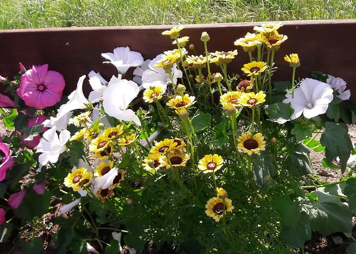 Сasa de vacaciones Gemütliches Häuschen Im Alten Land *