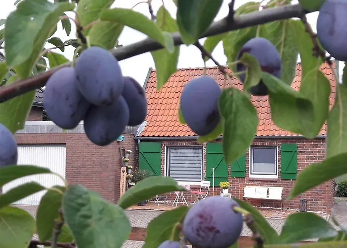 Сasa de vacaciones Gemütliches Häuschen Im Alten Land *